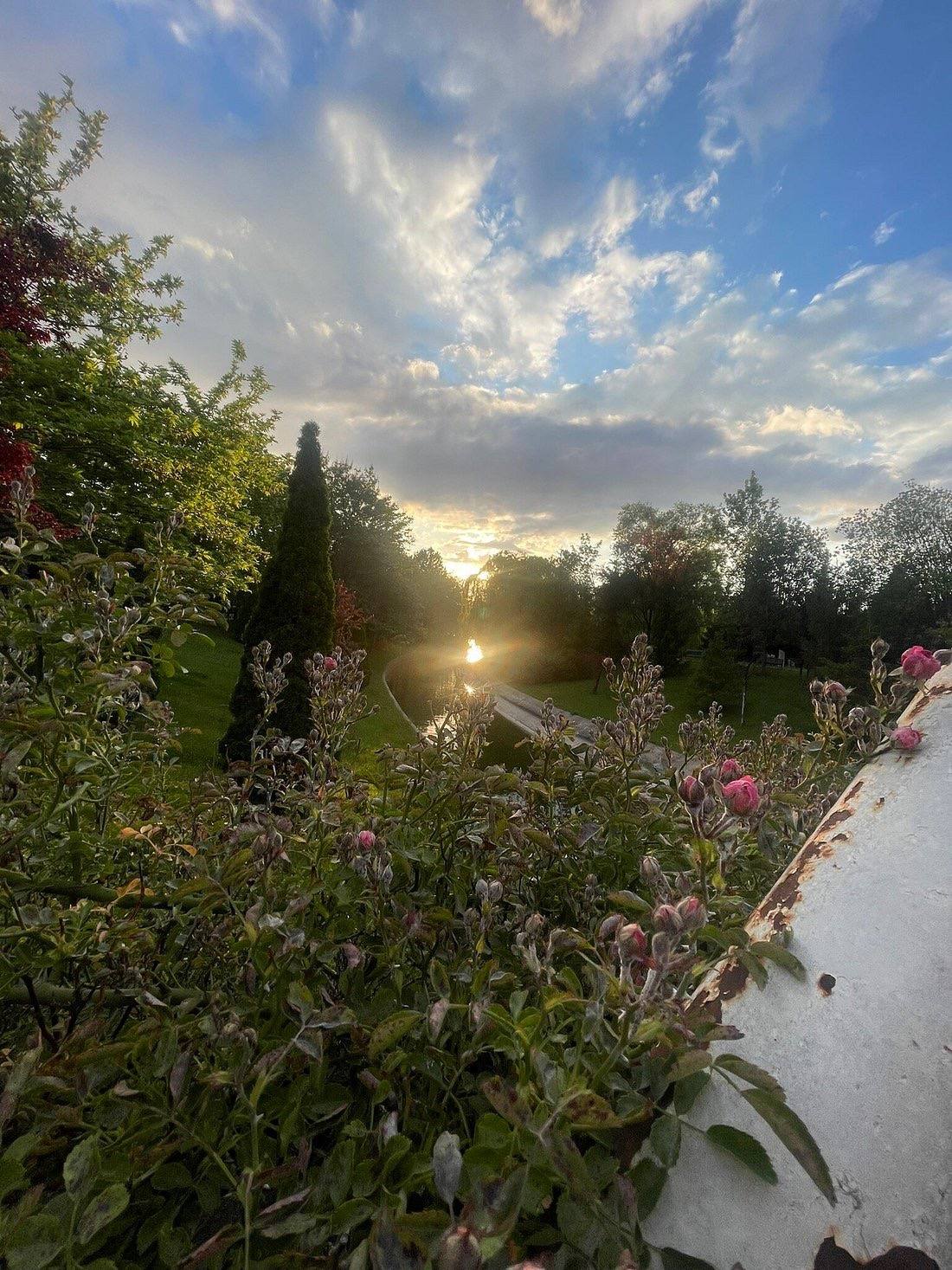 Eskişehir Galeri