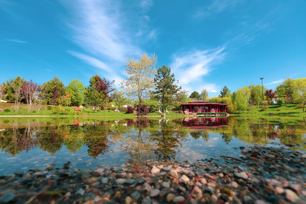 Eskişehir Galeri