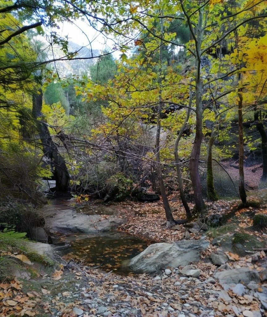 Alpu Deredop (Karacaören) Kanyonu